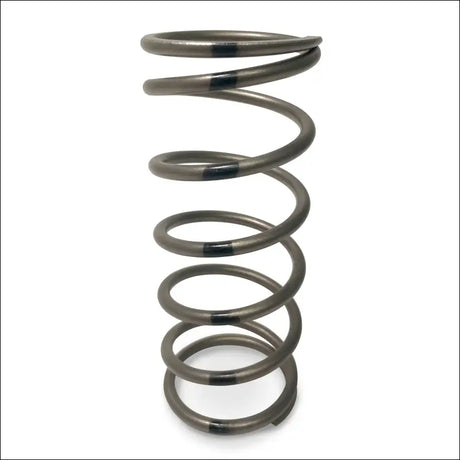 TAPP Primary Clutch Springs - Black 140/210 - Clutching