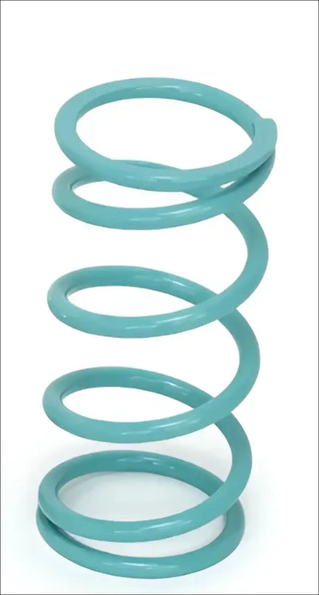 EVP Turquoise Secondary Spring for Polaris RZR Pro XP Turbo R & 2021 - Clutching