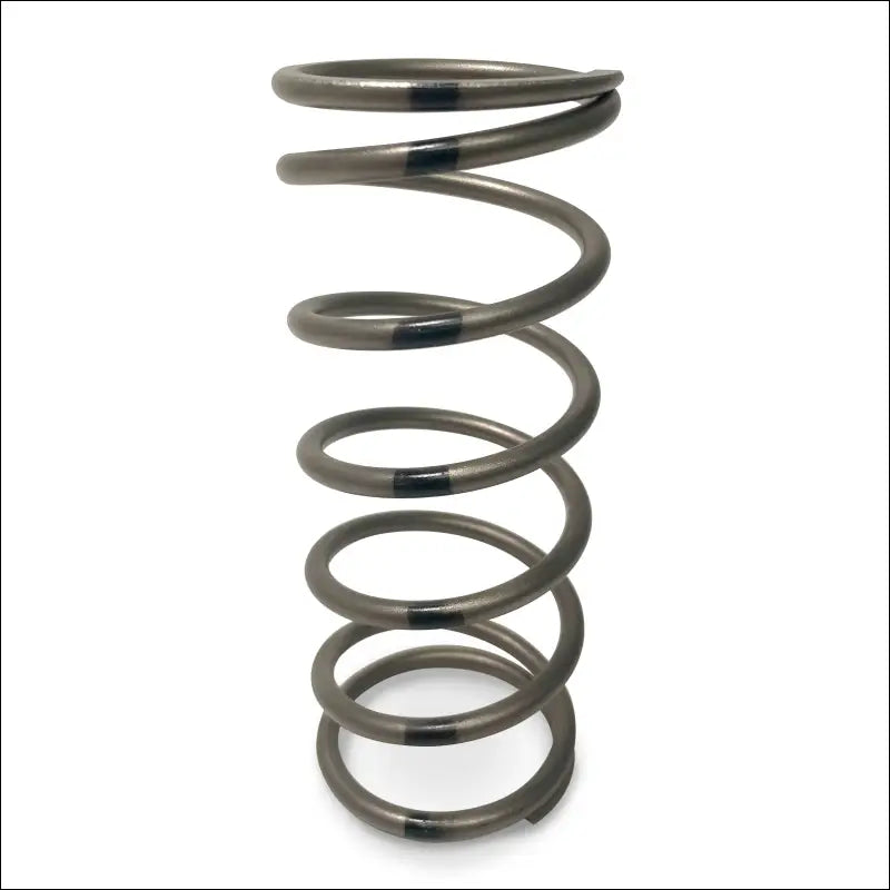 TAPP Primary Clutch Springs - Black 140/210 - Clutching