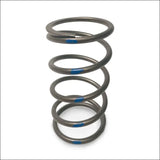 TAPP Primary Clutch Springs - Blue 100/190 - Clutching