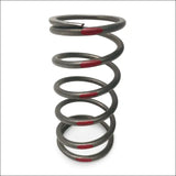TAPP Primary Clutch Springs - Red 160/270 - Clutching